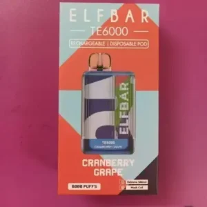 Elfbar RAYA D2 Tobacco 5% Nic - Vape Shop ahmedabad
