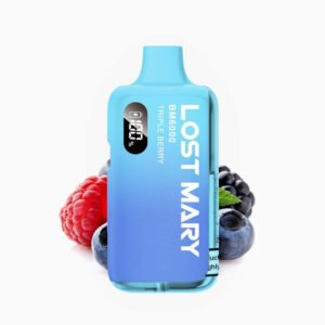 Elfworld 12000 Puffs Mint Menthol Disposable | Vape Store goa